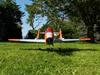 Fly Bobcat 50