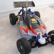 Buggy KyoSHo Inferno SOLGT 