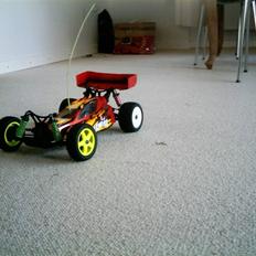 Buggy Losi xxx4 SOLGT