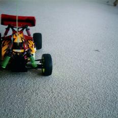 Buggy Losi xxx4 SOLGT