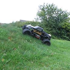 Bil Monster Truck F150