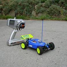 Buggy LRP Shark 18 Team Factory