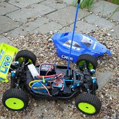 Buggy LRP Shark 18 Team Factory