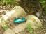 Off-Roader Tamiya Race Touareg
