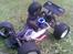 Truck HPI Hellfire SS