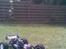 Truck HPI Hellfire SS