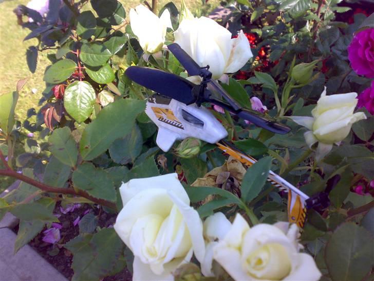 Helikopter picoo Z Kopi - Shit billede 5