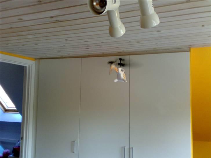 Helikopter picoo Z Kopi billede 12