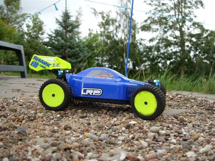 Buggy LRP Shark 18 Team Factory billede 2