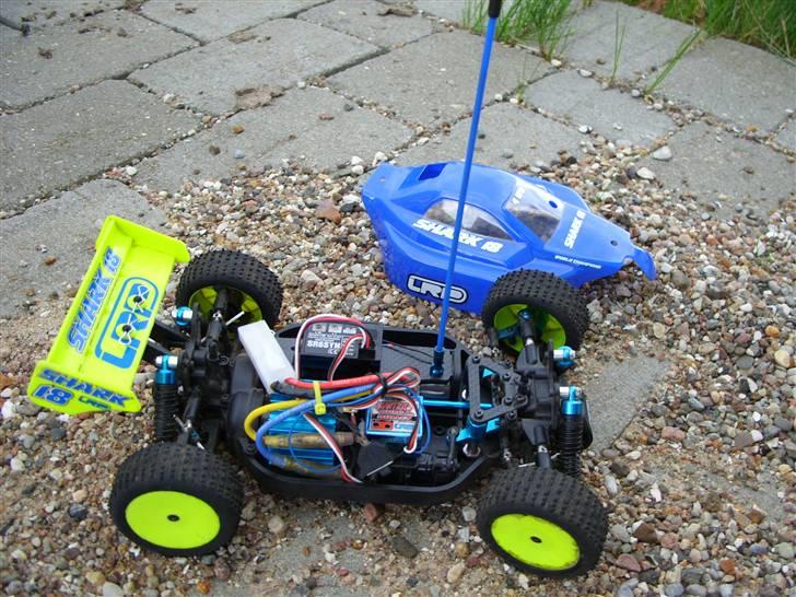 Buggy LRP Shark 18 Team Factory billede 3
