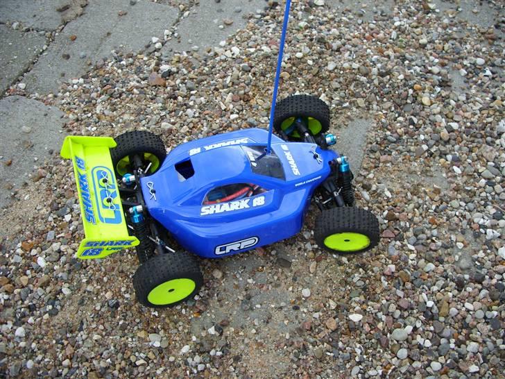 Buggy LRP Shark 18 Team Factory billede 10