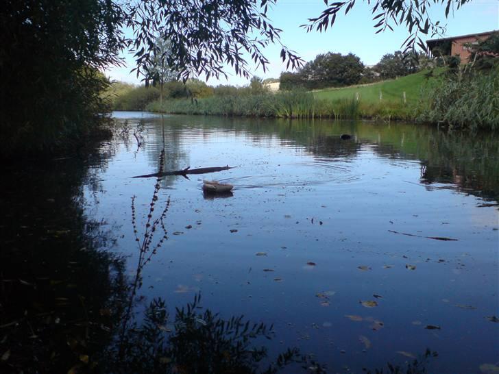 Båd Hjemmelavet billede 6