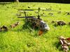 Helikopter Twister Hawk [Tidl. RC-enhed]