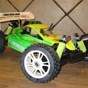 Buggy Xray XB8R