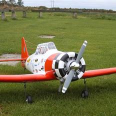 Fly NORTH A HAVARD AT-6 SOLGT