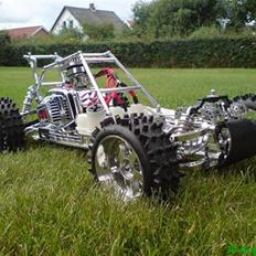 Buggy T3 Mamba