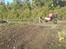 Truck Traxxas T-Maxx (Solgt)