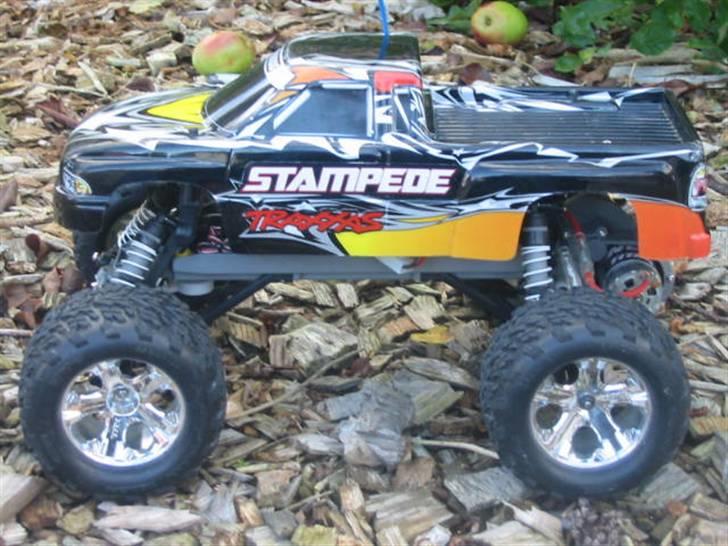 Bil truck stampede billede 1