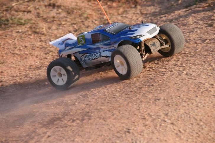 Off-Roader Amax Truggy - Cheetah billede 10