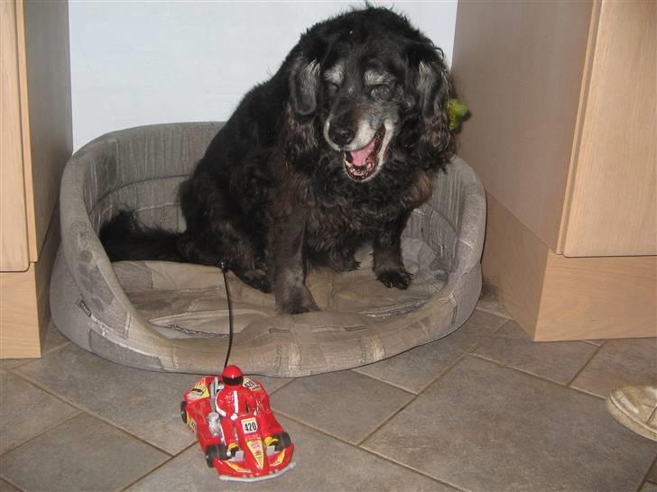 Bil #420 Gocart billede 10