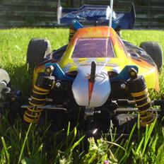 Buggy -HBX MAX buggy XTi-
