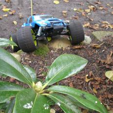 Truck MAMMOTH ST (til salg) BYD