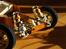Buggy AE Rc10 "Gold Tub"