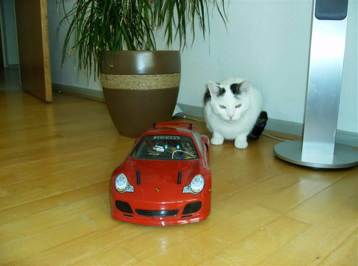 Bil Tamiya 415 billede 1