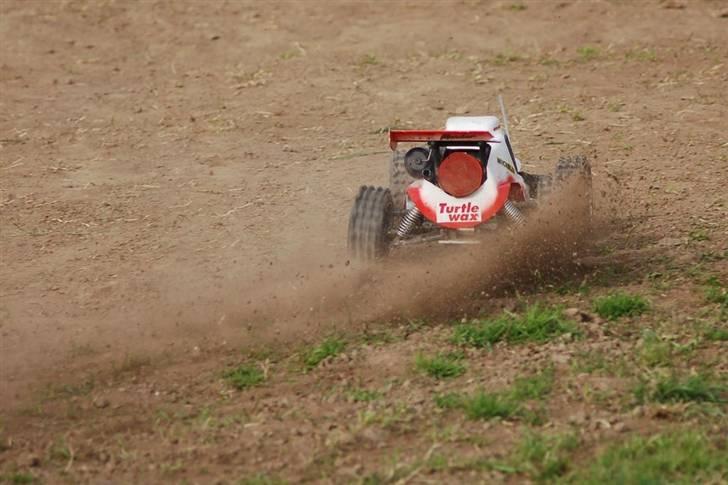 Buggy fg Marder - stejlhøj billede 10