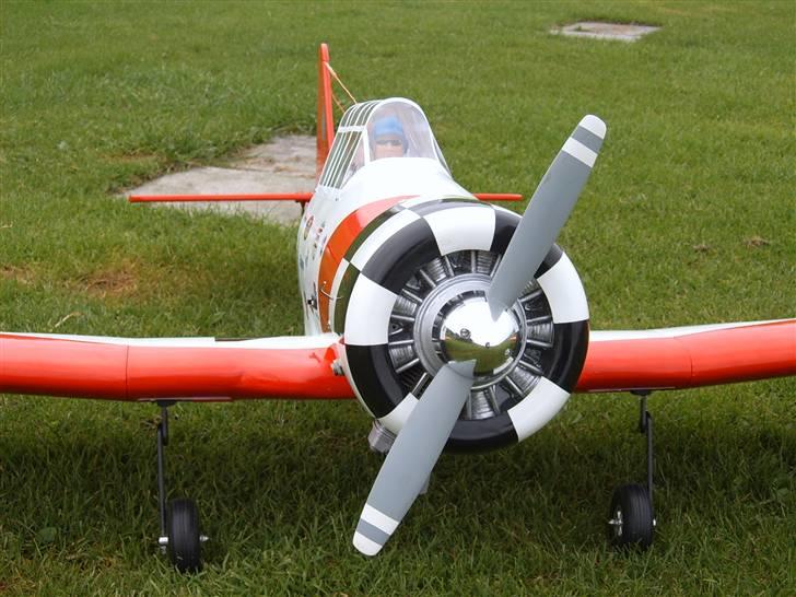 Fly NORTH A HAVARD AT-6 SOLGT - Dummy stjerne motor. billede 16