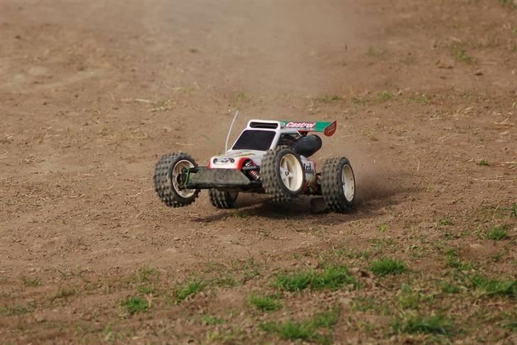 Buggy fg Marder - stejlhøj billede 13