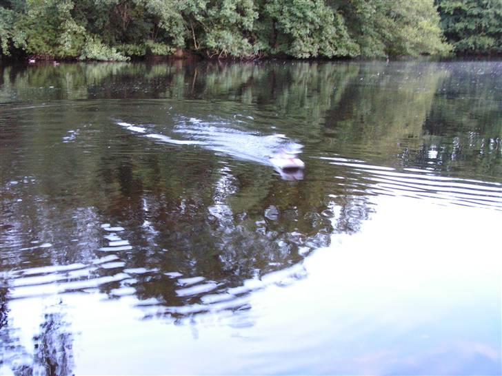 Båd Hjemmelavet "sumpbåd" billede 6