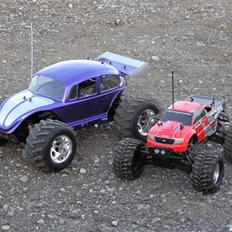 Buggy monster beetle