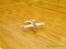 Fly Clik!