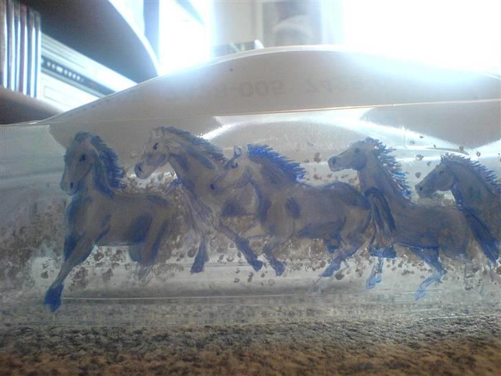 Bil Saleen Mustang - QD JunDI billede 3