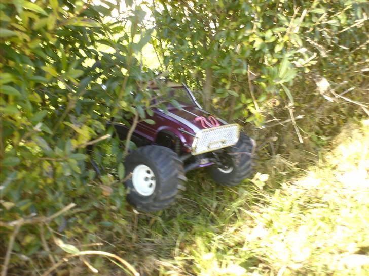 Truck Cen - A daily drive thru the park billede 6