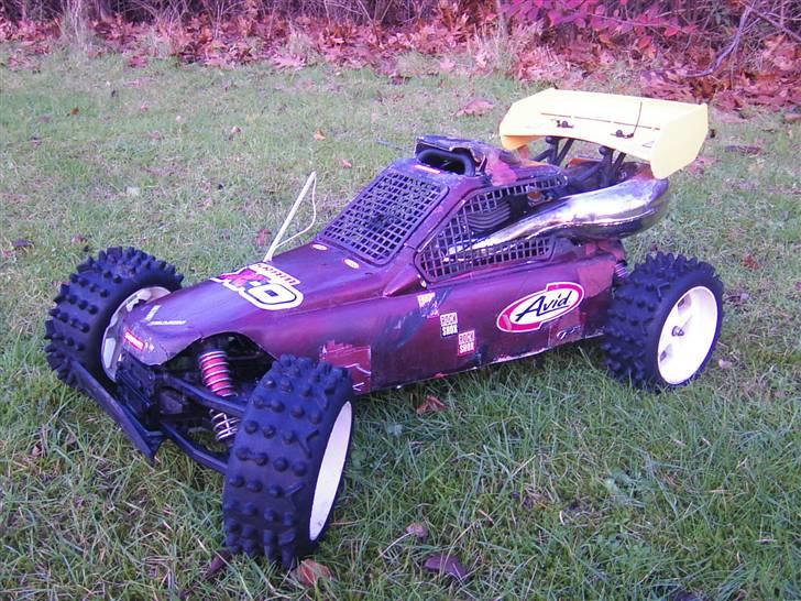 Buggy Fg Marder(Solgt) - Før billede 3