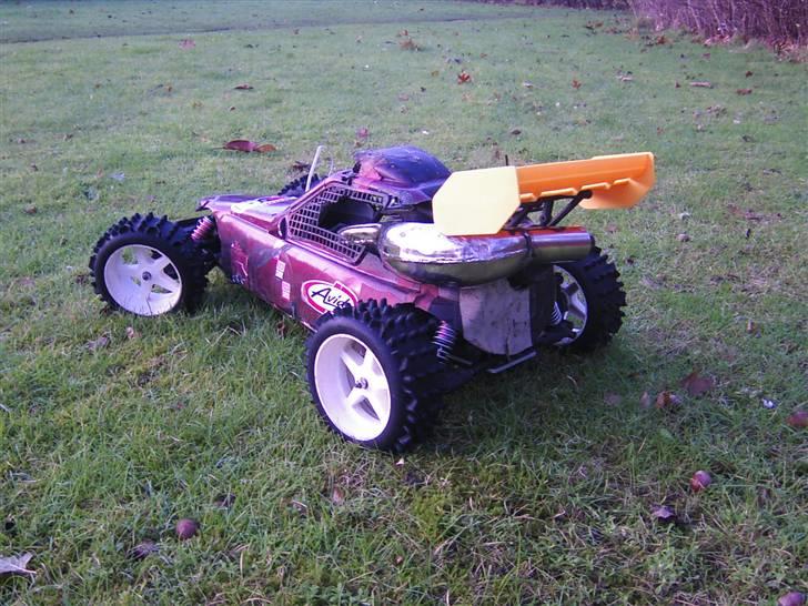 Buggy Fg Marder(Solgt) - Før billede 4