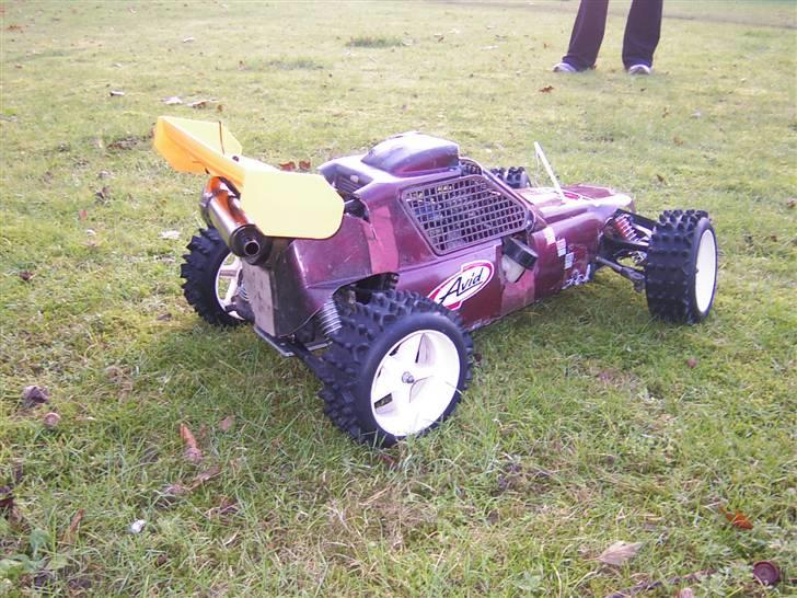 Buggy Fg Marder(Solgt) - Før billede 5