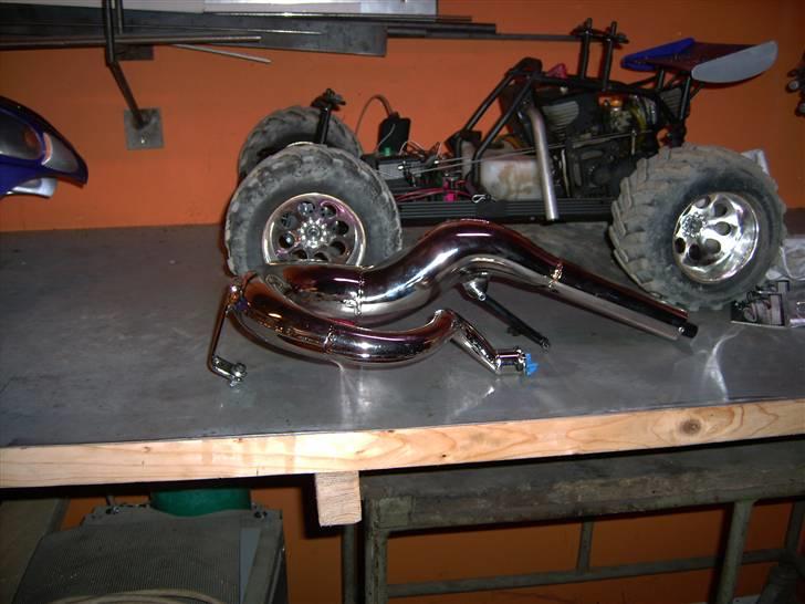 Buggy monster beetle - så kom den  billede 6