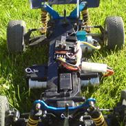 Buggy hbx max XTi 