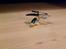 Helikopter PicooZ Micro Helikopter