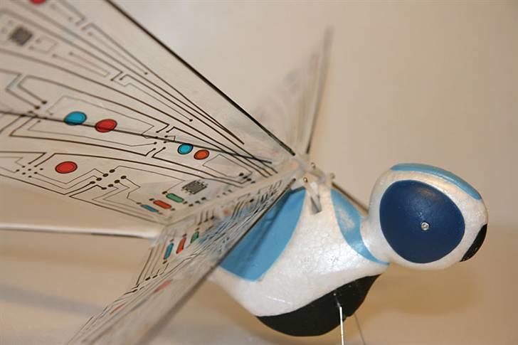 Fly Guldsmed billede 3