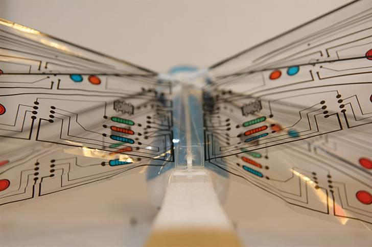 Fly Guldsmed billede 4