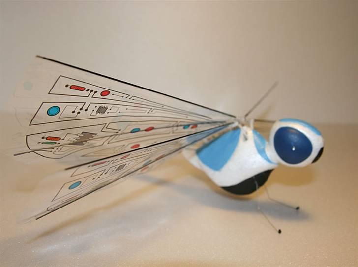 Fly Guldsmed billede 5