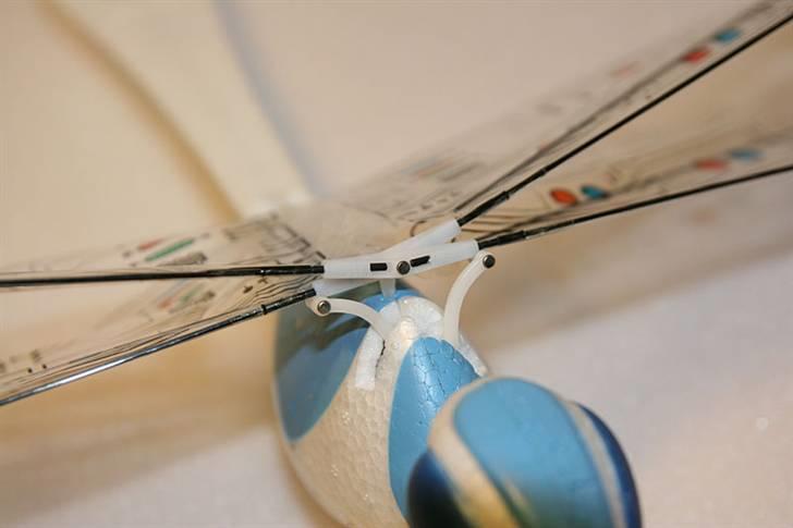 Fly Guldsmed billede 7