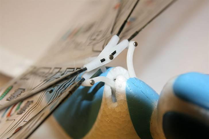 Fly Guldsmed billede 8