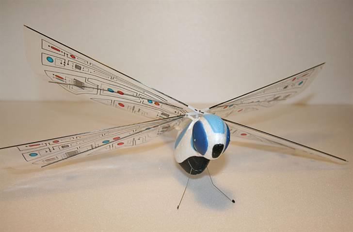 Fly Guldsmed billede 9