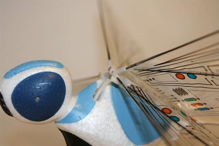 Fly Guldsmed billede 10