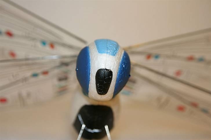 Fly Guldsmed billede 11